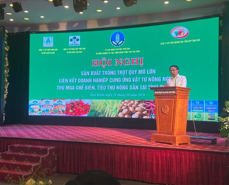 Supe Lâm Thao: Chung tay phát triển sản xuất trồng trọt quy mô lớn tại Thái Bình