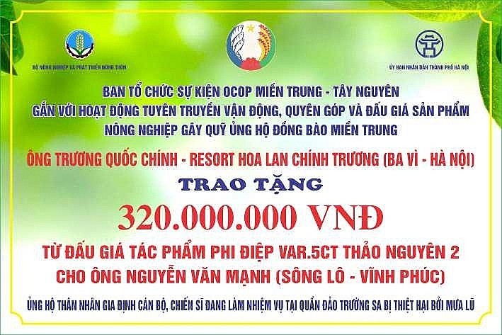4645-dau-gia