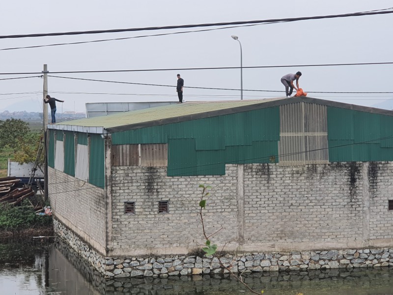 Tin nhanh - Sức gió bão số 13 giật mạnh, Hà Tĩnh căng mình đối phó (Hình 3).