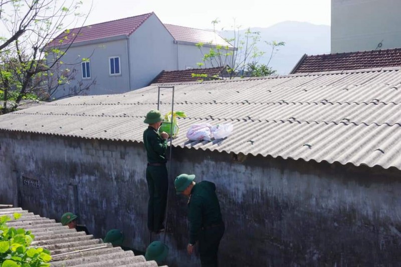 Tin nhanh - Sức gió bão số 13 giật mạnh, Hà Tĩnh căng mình đối phó (Hình 7).