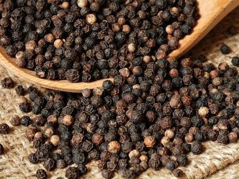 Giá hồ tiêu hôm nay 11/11: Cao nhất 56.500 đồng/kg