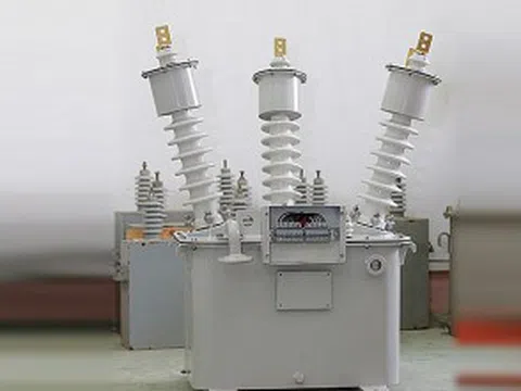 Cổ phiếu BTH tăng gần 280% sau 10 phiên trần