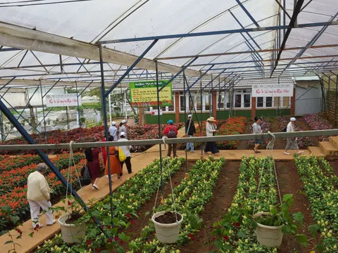 Lâm Đồng đón 200.000 lượt khách trong tháng 10/2020