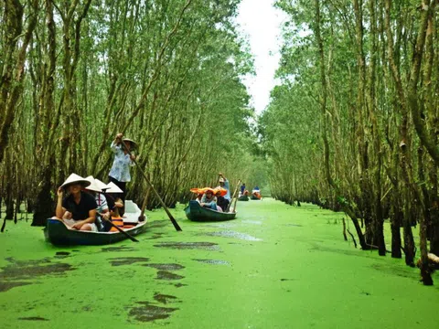 Du lịch Tiền Giang: Đón 43,1 ngàn lượt khách trong tháng 10/2020