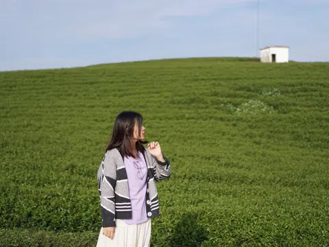 Cao nguyên Mộc Châu trong trẻo những ngày thu